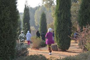 Walking meditation